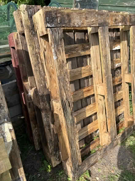 Photo of free Wooden pallets (Cholsey OX10) #2