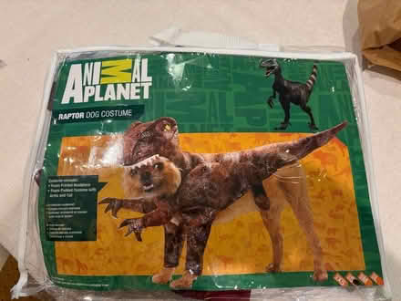 Photo of free dino costume (Washington, DC, 20003) #1