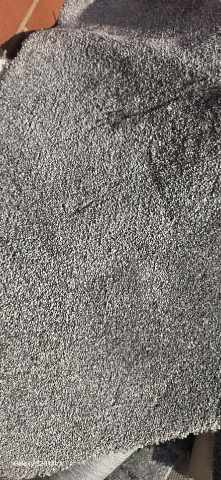 Photo of free New carpet, vinyl and underlay (DE24) #4