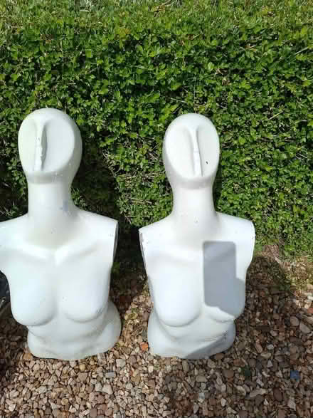 Photo of free Mannequins (Allington NG32) #1