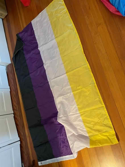 Photo of free nonbinary pride flag (Brookline) #1