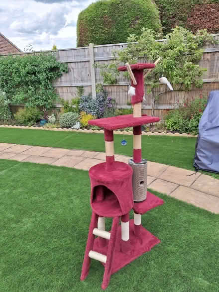 Photo of free Cat climbing frame (Pakefield NR33) #2