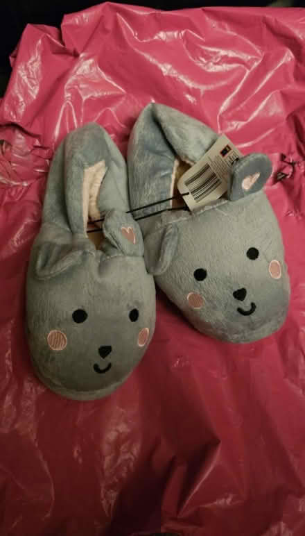 Photo of free Lilly and Dan Slippers - UK1 (Ramsey Mereside PE26) #2