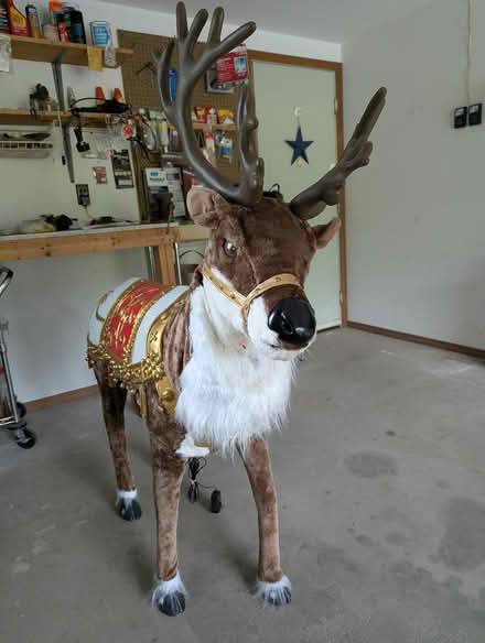 Photo of free 4-1/2 ft Animated Reindeer (New Paltz) #3