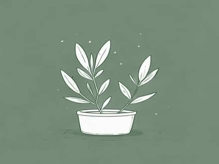 Photo of free Sage plants (Clieves Hills L39) #1