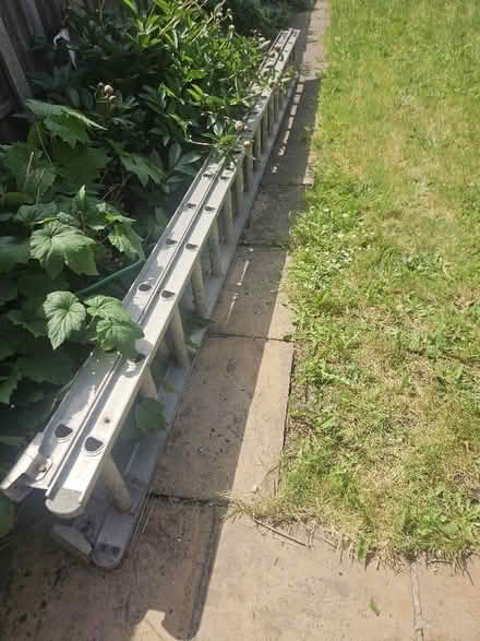 Photo of free 4m long ladders (East Sheen SW14) #1