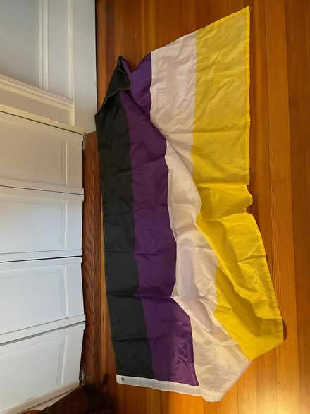 Photo of free nonbinary pride flag (Brookline) #2