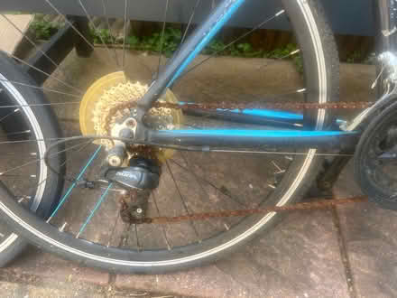 Photo of free Team sky racing bike kids (Lion Gate TW9) #2