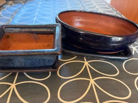 Photo of free Two Small Bonsai Dishes (Mitcham's Corner CB4) #2