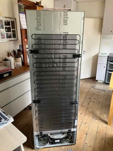 Photo of free Bosch Fridge Freezer (Dublin 8) #2