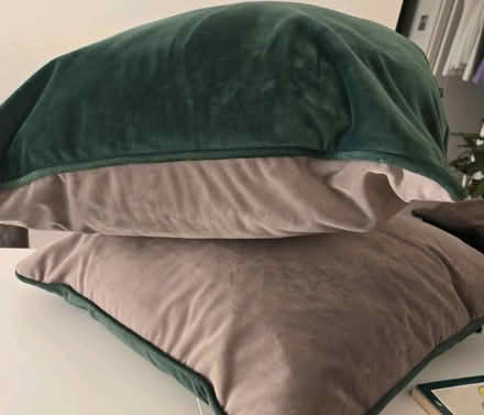 Photo of free NEXT Green and Grey Cusions (Bexleyheath DA6) #2