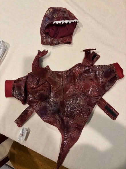 Photo of free dino costume (Washington, DC, 20003) #3