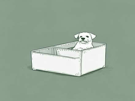 Photo of Small/ medium dog crate (Kenilworth CV8) #1
