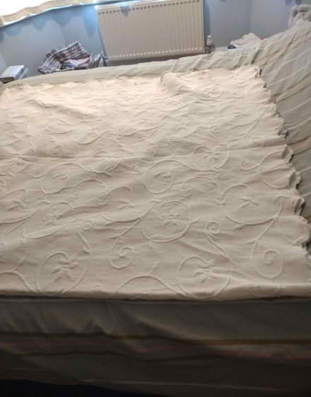 Photo of free Cream bedspread (Norwich NR7) #1