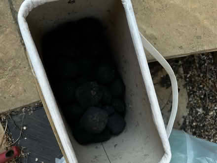 Photo of free Charcoal briquettes (Gunthorpe) #3