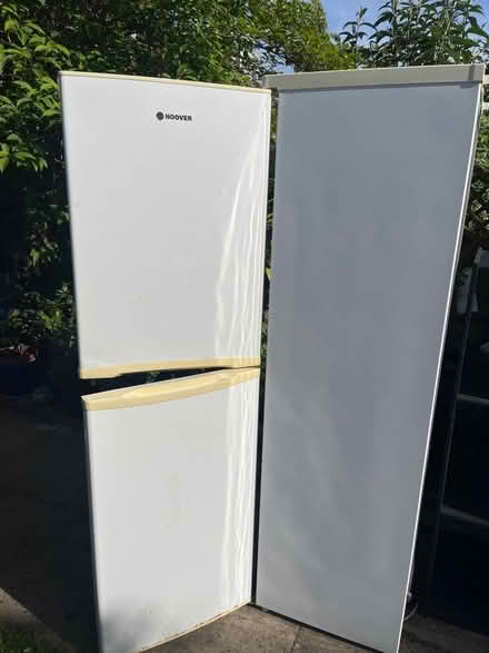Photo of free Fridge freezer hoover (CV6 Coundon Coventry) #2