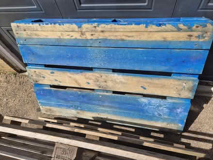 Photo of free Wooden pallets (East Winch PE32) #2