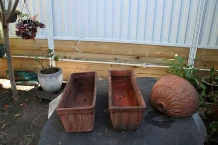 Photo of free terracotta planter pots (Marrickville south) #2