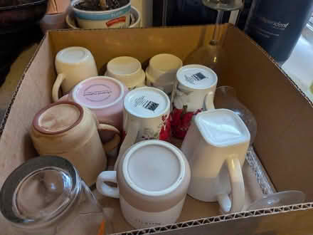 Photo of free Glass Cups (Carlstadt, NJ) #1