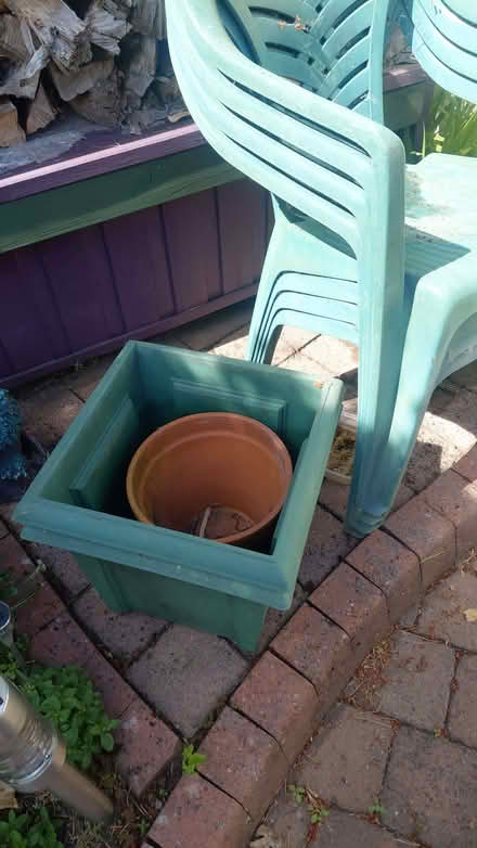 Photo of free Green garden chairs and planters (Claughton CH43) #1
