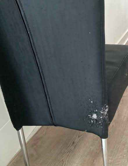 Photo of free Dining table/chairs (Cheltenham) #3