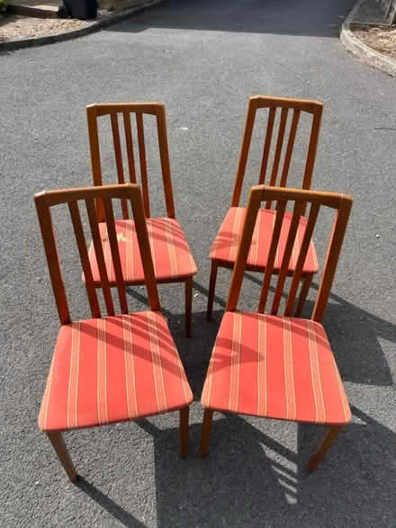 Photo of free Dining chairs (Horfield Bristol) #1