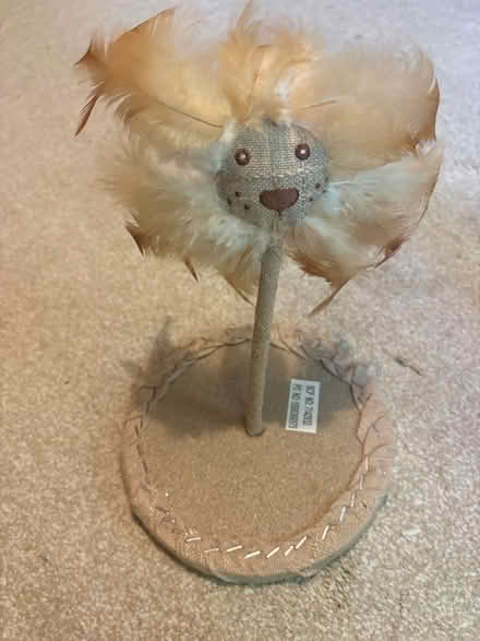 Photo of free Kitten Toy (Southfields SW18) #1