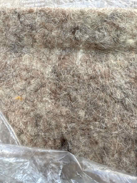 Photo of free Small pet bedding (Taunton Lyngford District Ward TA2) #2