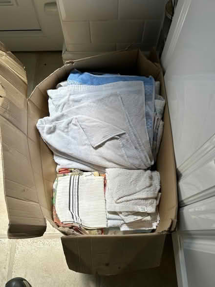 Photo of free Towels (Dolwyd LL31) #1