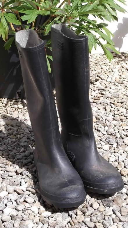 Photo of free Wellington boots (HR8 Much Marcle) #1
