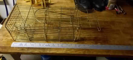 Photo of free Humane Rat Trap (Highworth SN6) #1