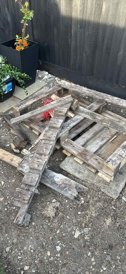 Photo of free Pallets (Me6) #3