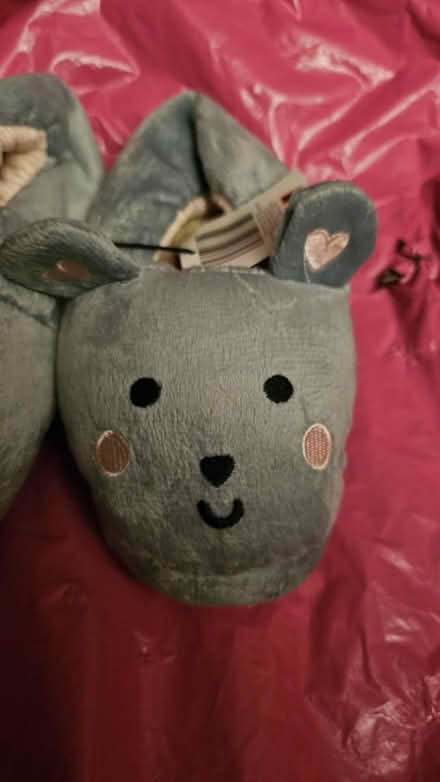 Photo of free Lilly and Dan Slippers - UK1 (Ramsey Mereside PE26) #1