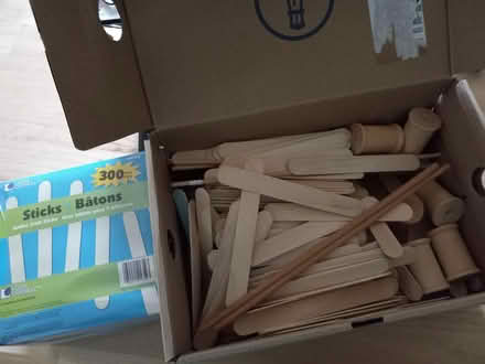 Photo of free Craft sticks & small wooden things (Holden) #1