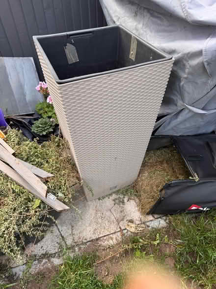 Photo of free Plant pot (CR7) #1