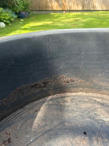 Photo of free Large plastic pot (Middlewich CW10) #2