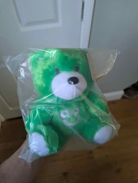 Photo of free Green AO bear (Dunton green) #1