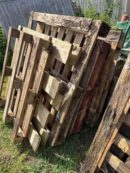 Photo of free Wooden pallets (Cholsey OX10) #3