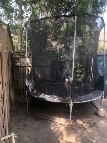 Photo of free Trampoline (IG3) #3