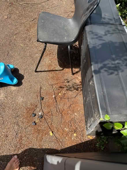Photo of free Storage units for garage (SK9) #3