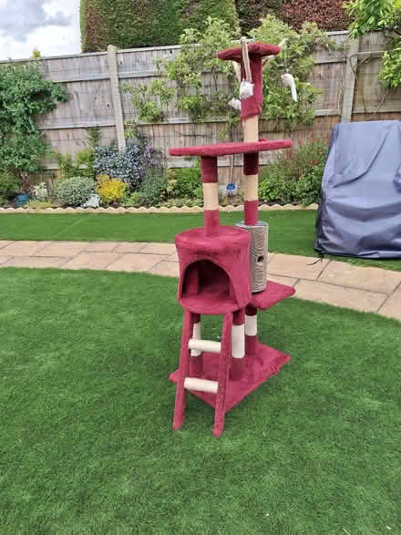 Photo of free Cat climbing frame (Pakefield NR33) #1