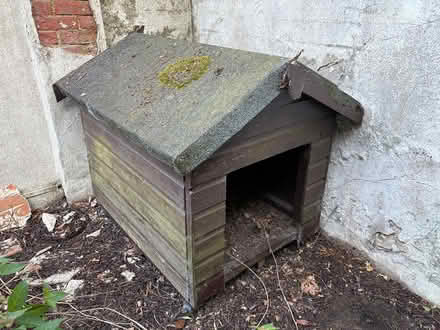 Photo of free Dog Kennel (Abbeygate CO2) #2
