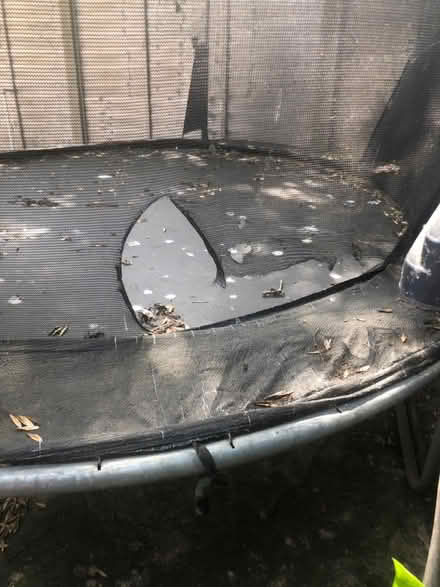 Photo of free Trampoline (IG3) #1