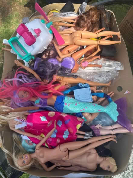 Photo of free Barbies and other dolls (RG12 Crownwood) #1