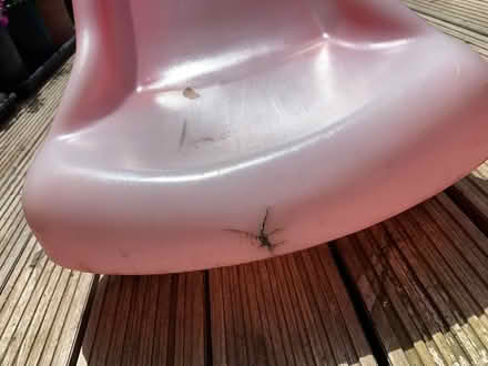 Photo of free Outdoor slide (Burpham/Merrow GU1 1) #4