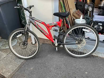 Photo of free Ladies Bicycle (Kempshott Park RG22) #1