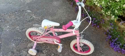 Photo of free Little Girls Princess bike (Orpington BR5) #1