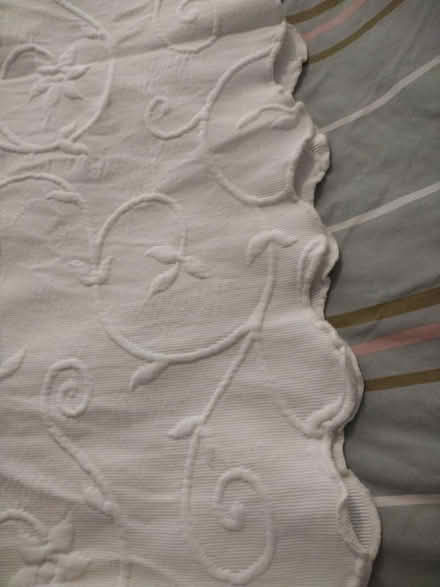 Photo of free Cream bedspread (Norwich NR7) #2