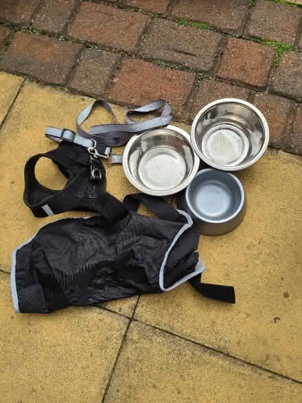 Photo of free Dog equipment (Stobhill NE61) #1