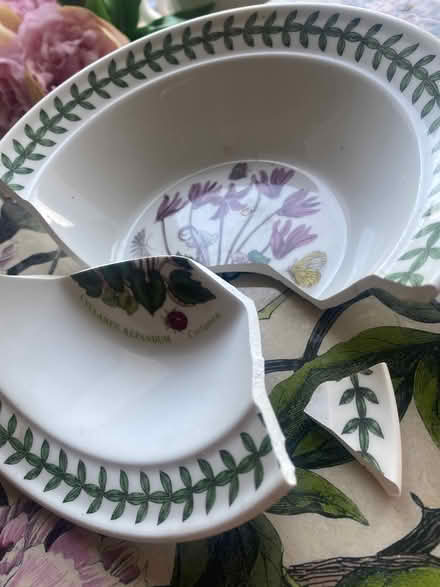 Photo of Damaged Portmerion Botanic Garden crockery (Sprowston NR7) #1